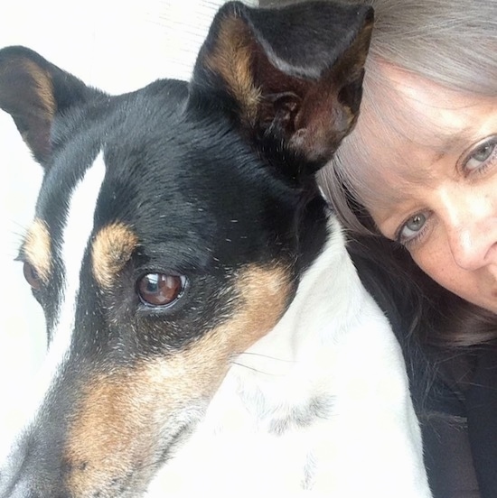 Close up of a woman taking a selfie with a tri color dog that has a long snout and brown eyes.